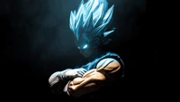 Vegeta in Super Saiyan Blau Form: Ein dynamisches Anime-Porträt