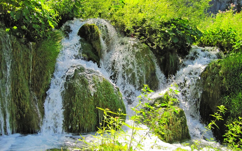 Крупный план водопада с текущей водой (растительность, национальный парк плитвицкие озера, plitvice lakes national park, водопад, заповедник)