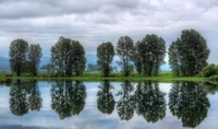 Reflexión tranquila de árboles a lo largo de un lago sereno