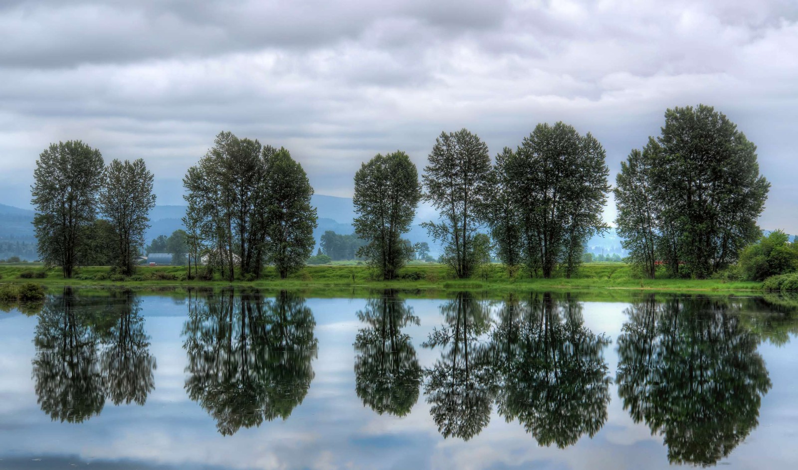 Los árboles se reflejan en el agua de un lago en un día nublado (reflexión, árbol, naturaleza, agua, vegetación)