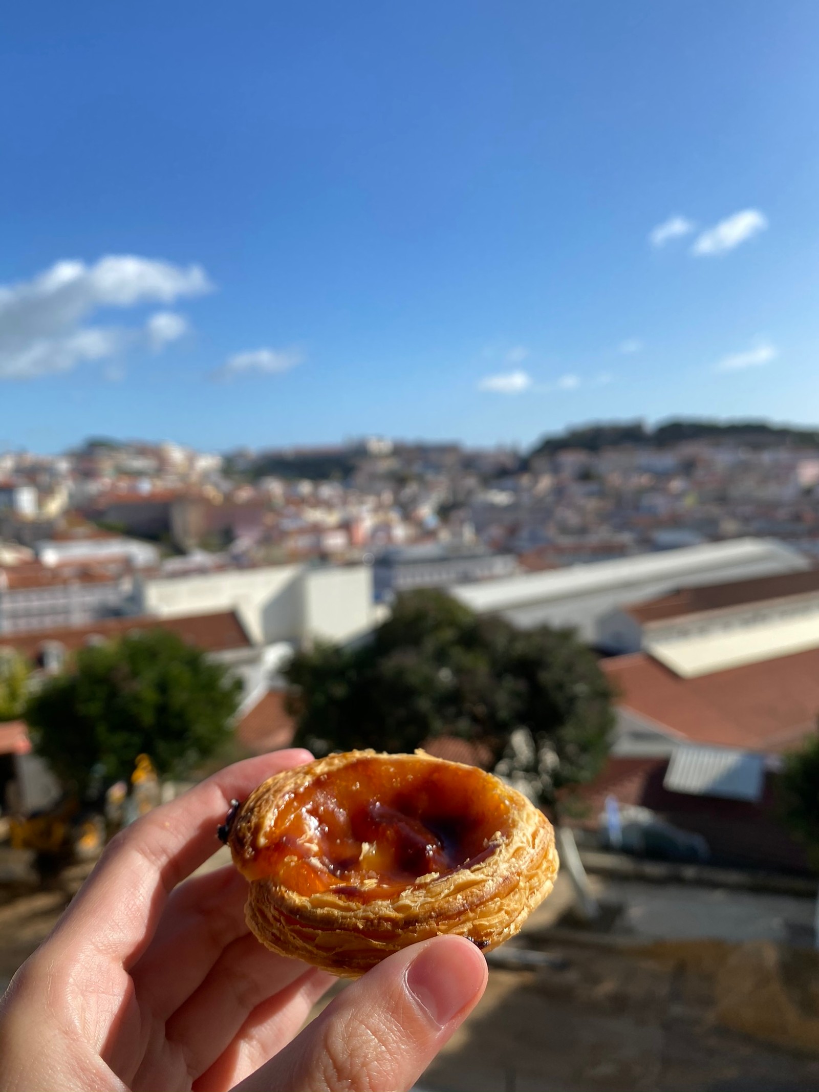 Alguien sosteniendo un pastel con vista de una ciudad al fondo (comida, cocina, ingrediente, plato, productos horneados)