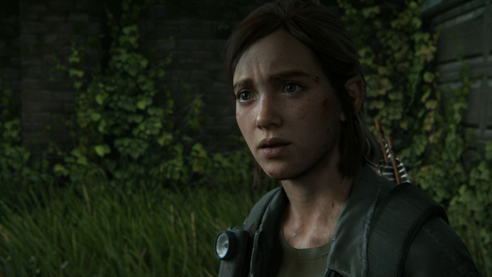 the last of us part ii, the last of us part 2, video game, ellie wallpaper