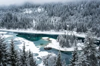 nieve, invierno, naturaleza, lago, agua