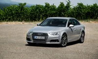 family car, 2017 audi a4, audi, car, executive car