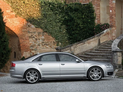 Audi S8 parked elegantly beside a historic stone staircase, showcasing its sleek design and alloy wheels amidst lush greenery.