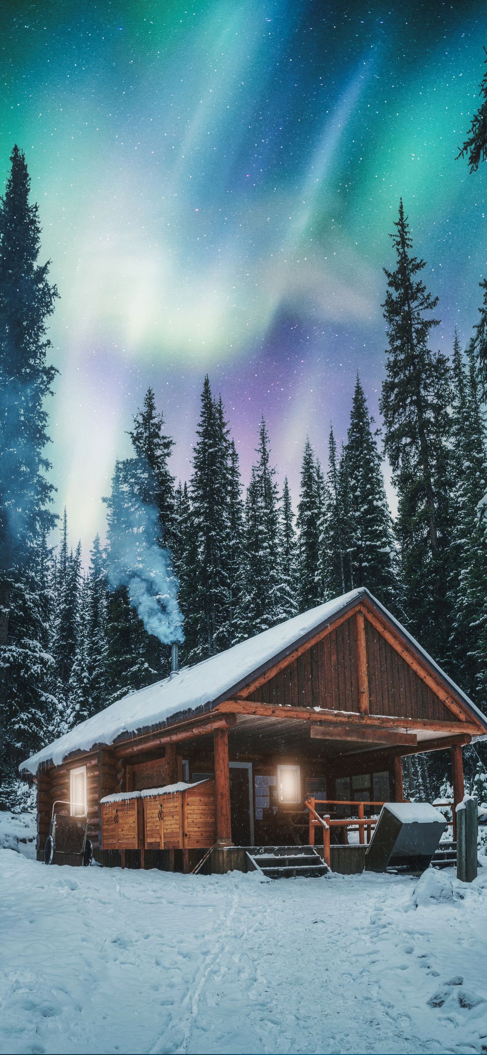 Arafed cabin in the snow with a green aurora behind it (aurora, nature, yellowknife, house, plant)