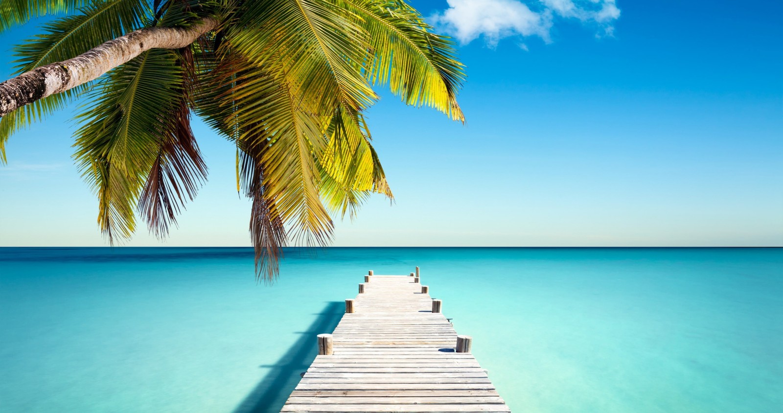 Une jetée en bois s'étendant vers l'océan avec des palmiers (tropiques, mer, caribéen, vacances, océan)