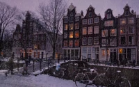 amsterdam, schnee, baum, abend, zuhause