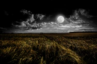 Illuminated Grass Field Under a Full Moon at Dusk