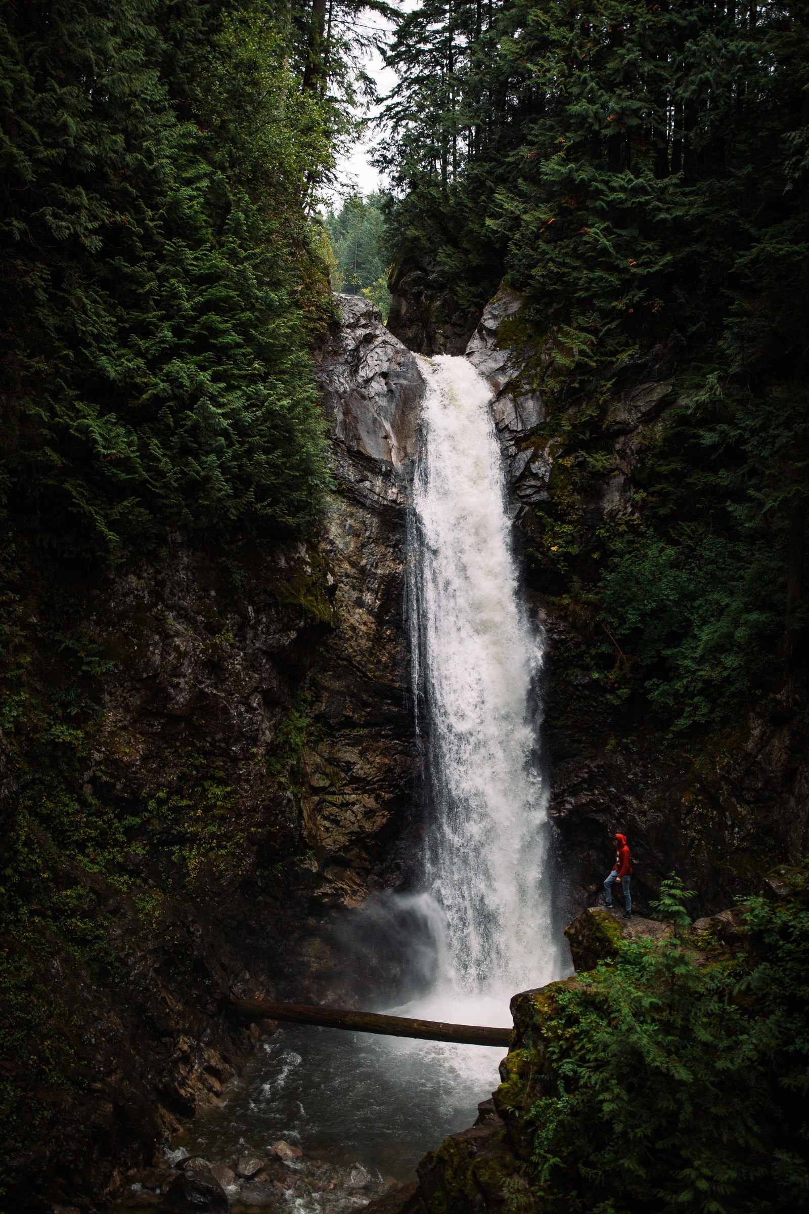 water feature, rainforest, state park, watercourse, water resources wallpaper