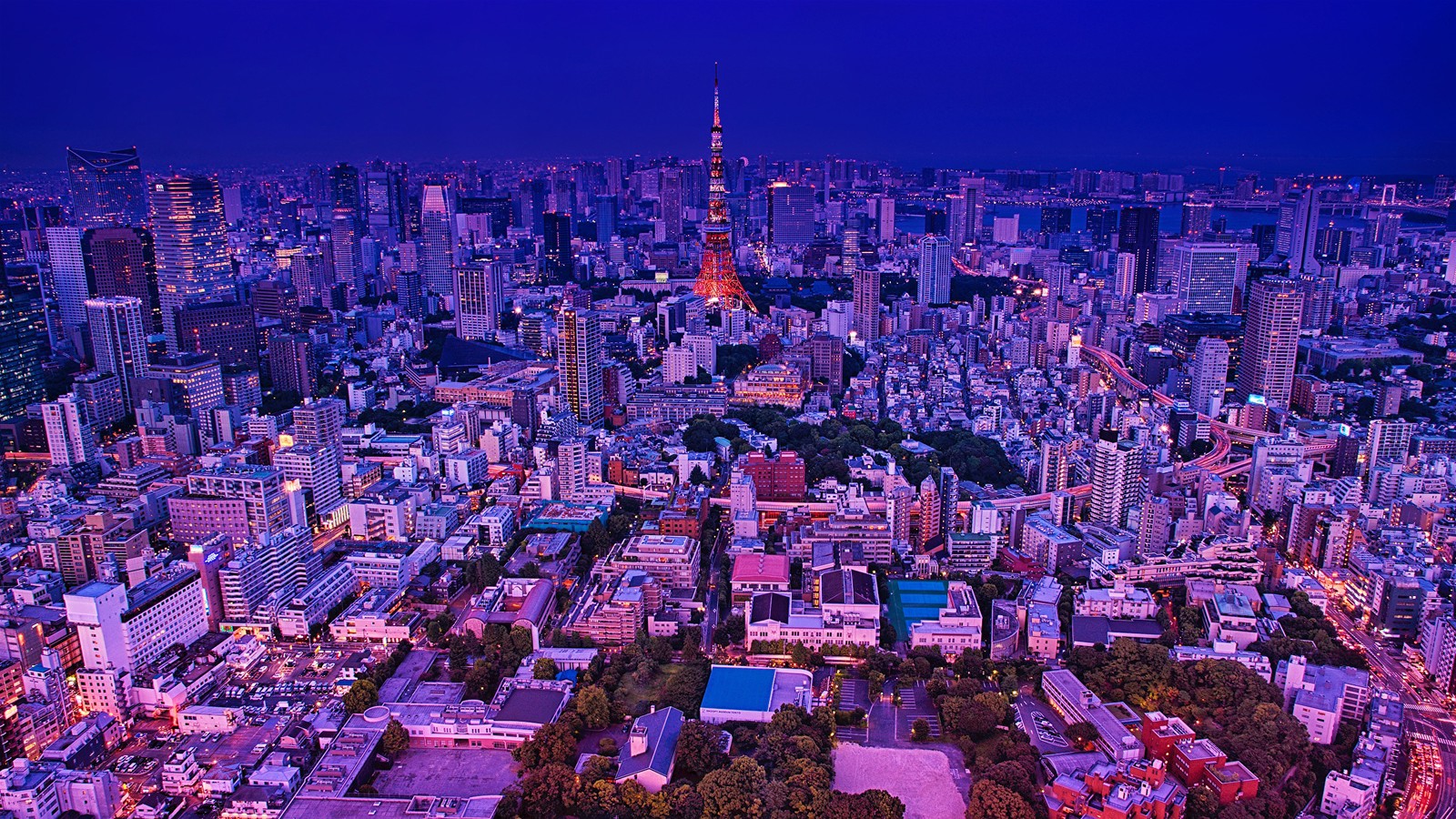 Аэрофотосъемка города ночью с голубым небом (токио, tokyo, токийская башня, tokyo tower, город)