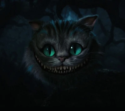 cat hd, funny, horror