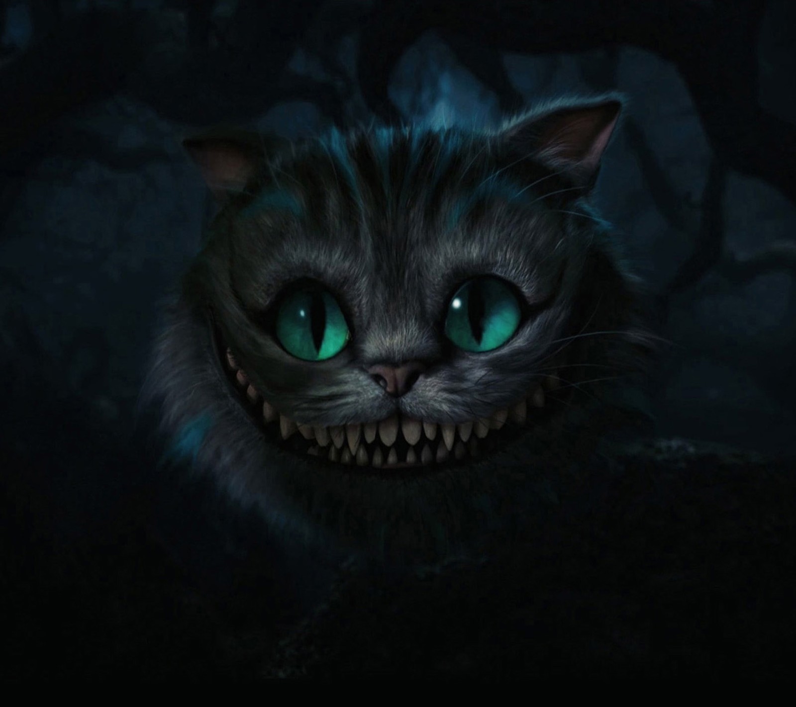 Um close de um gato com olhos verdes e um sorriso assustador (gato hd, engraçado, horror)