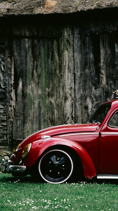 carro, alemanha, grama, vermelho, vw