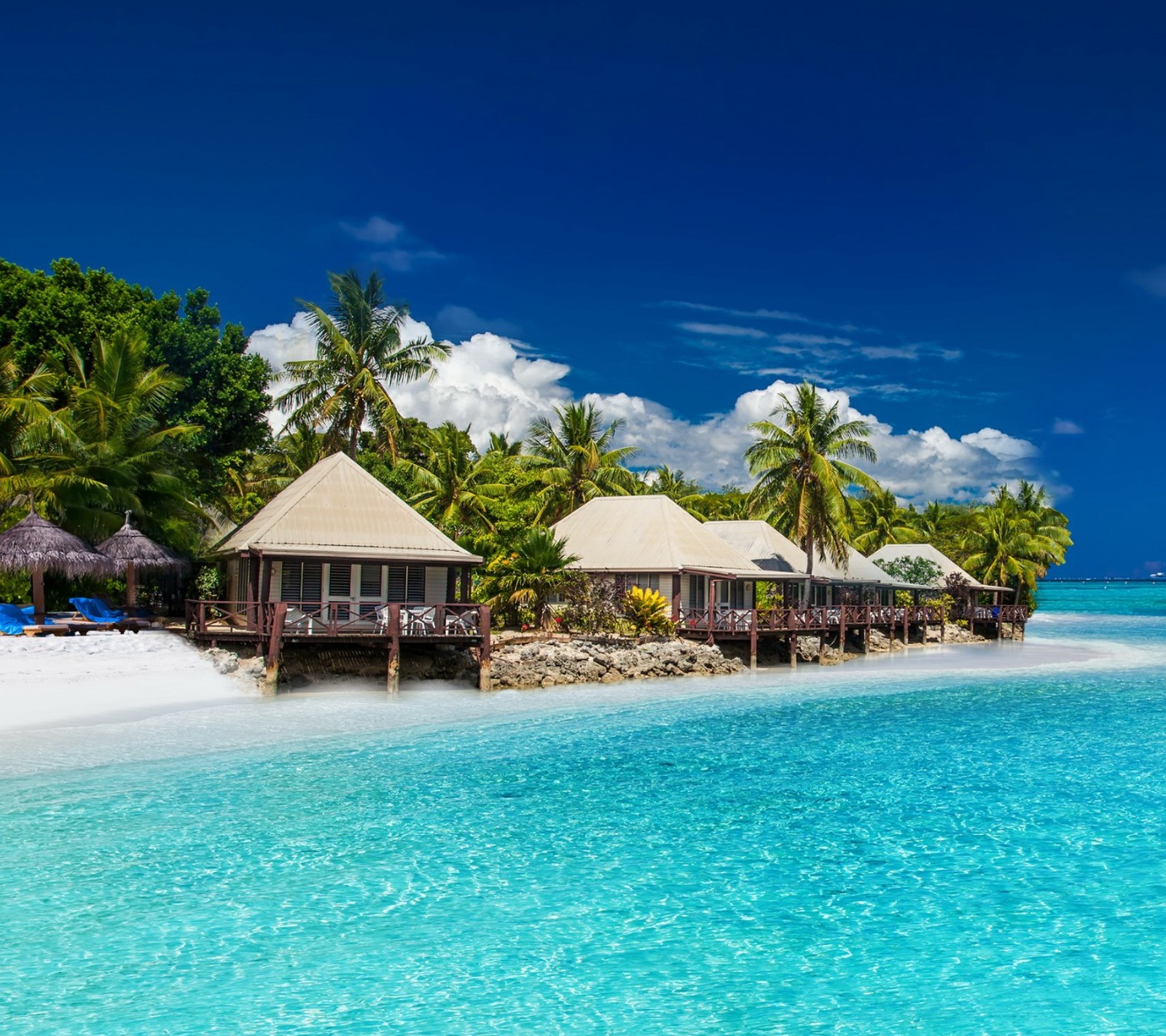 Vue d'une plage avec un hut et une rangée de palmiers (plage, mer, côté)