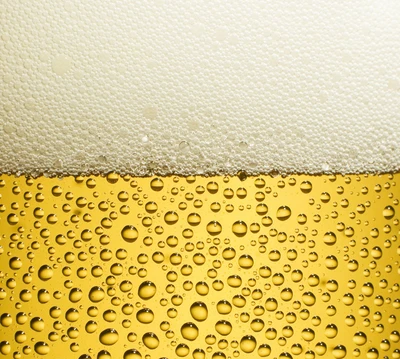 Golden beer with a frothy white head and condensation droplets.