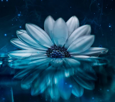 azul, flor