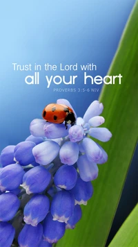 Trust in the Lord with All Your Heart - Proverbs 3:5-6 NIV