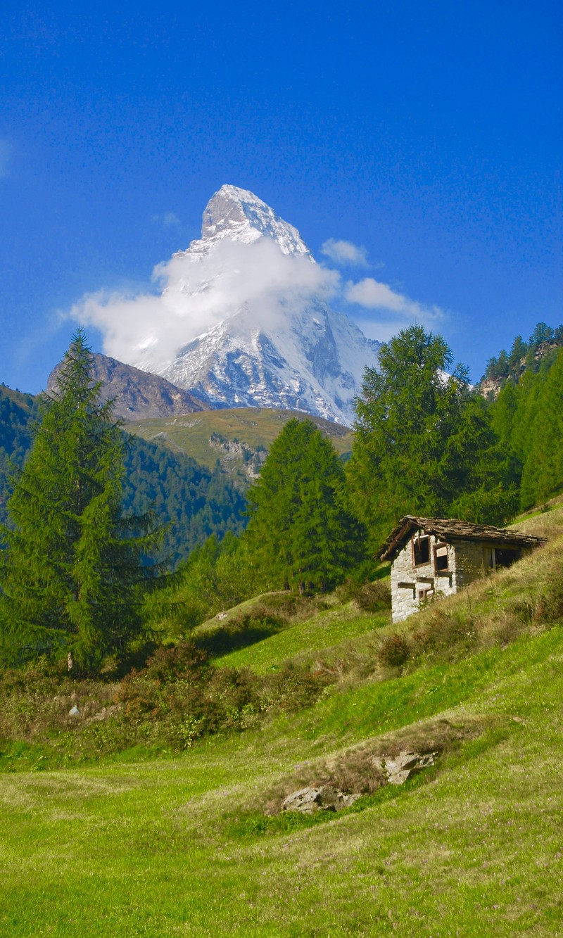 Маленький домик посреди травяного поля (маттерхорн, matterhorn, горы, швейцария)