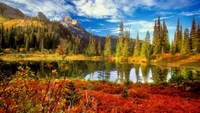 Reflejos de otoño: un paisaje silvestre escénico con un follaje vibrante y un fondo montañoso