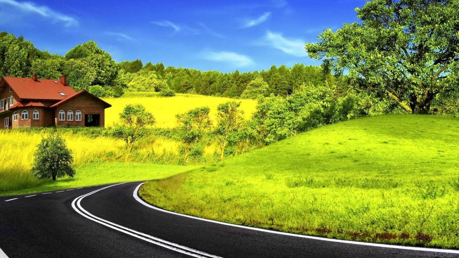 Uma estrada passando por um campo verde com uma casa ao fundo (natureza, estrada, amarelo, pradaria, pastejo)