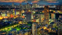 Atemberaubende nächtliche Skyline von Tokio: Ein Blick aus der Vogelperspektive auf die urbane Metropole