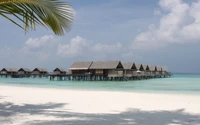 Bungalows sobre el agua anidados en las aguas turquesas de un paraíso tropical, enmarcados por una playa prístina y palmeras que se mecen.