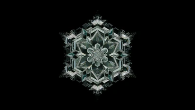 Intricate Crystal Snowflake on Black Background