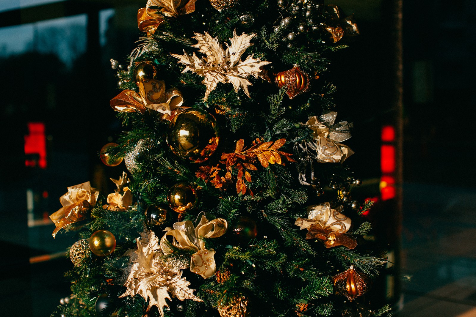 Descargar fondo de pantalla día de navidad, árbol de navidad, decoración navideña, luces navideñas, temporada navideña y festiva