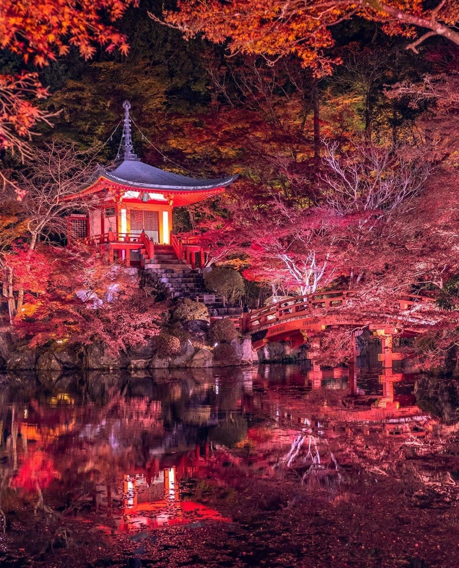 Arafed pagoda in the middle of a pond with a bridge (nature, plant, botany, world, branch)