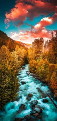 Paisaje natural vibrante: Bosque de alerces y río caudaloso bajo nubes coloridas