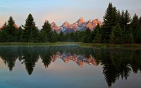 Reflexion der Grand-Teton-Spitzen in einem ruhigen See, umgeben von üppigem Wald