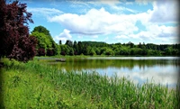 Lago tranquilo cercado por vegetação exuberante e céu vibrante