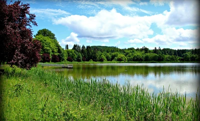 Lago tranquilo rodeado de vegetación exuberante y cielo vibrante