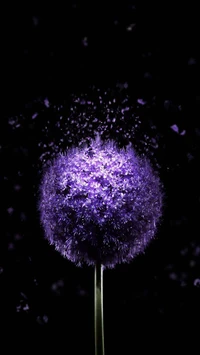 amoled, plant, flower, purple, water wallpaper