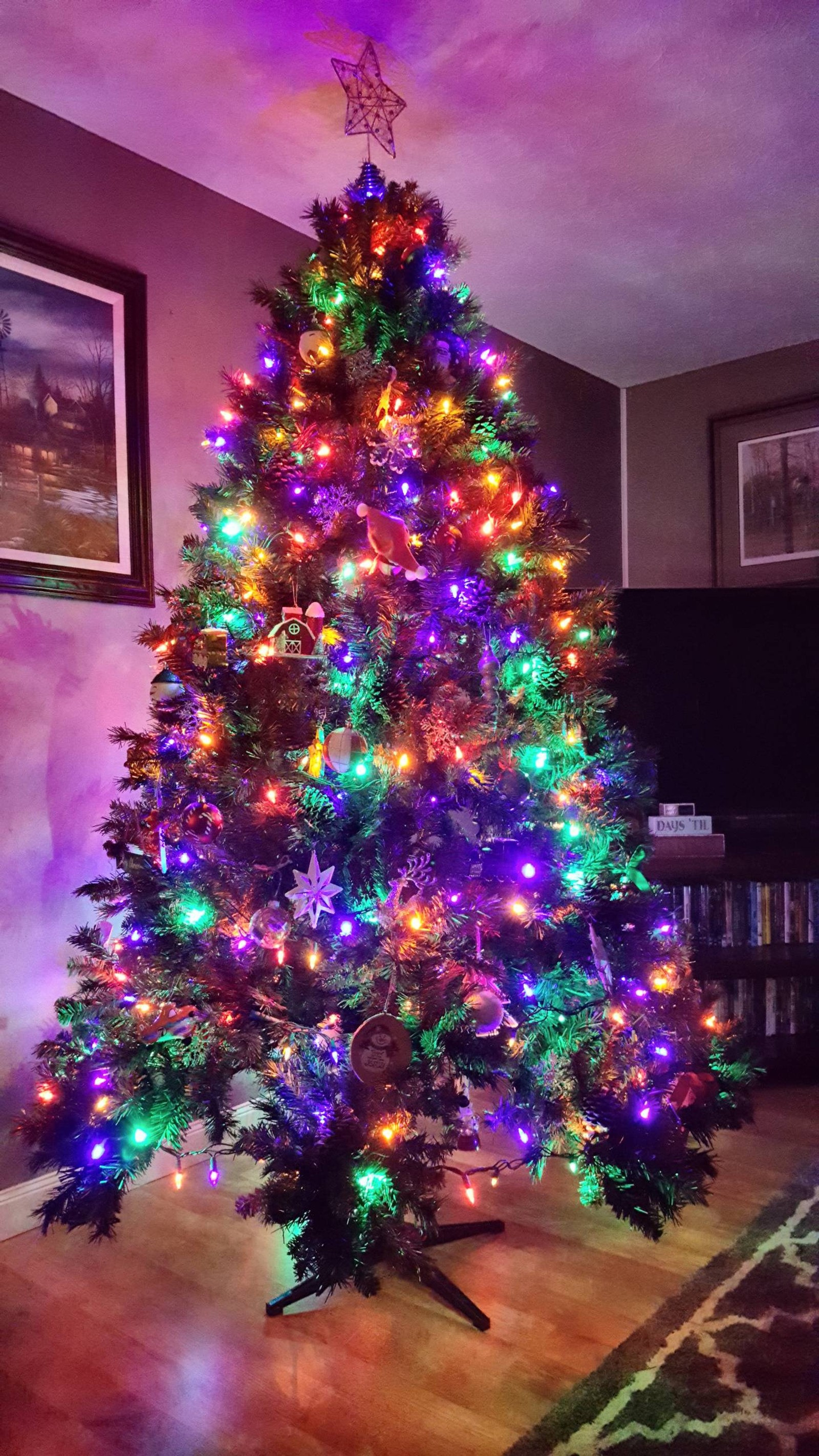 Nahaufnahme eines weihnachtsbaums mit bunten lichtern im wohnzimmer (weihnachten, festlich)