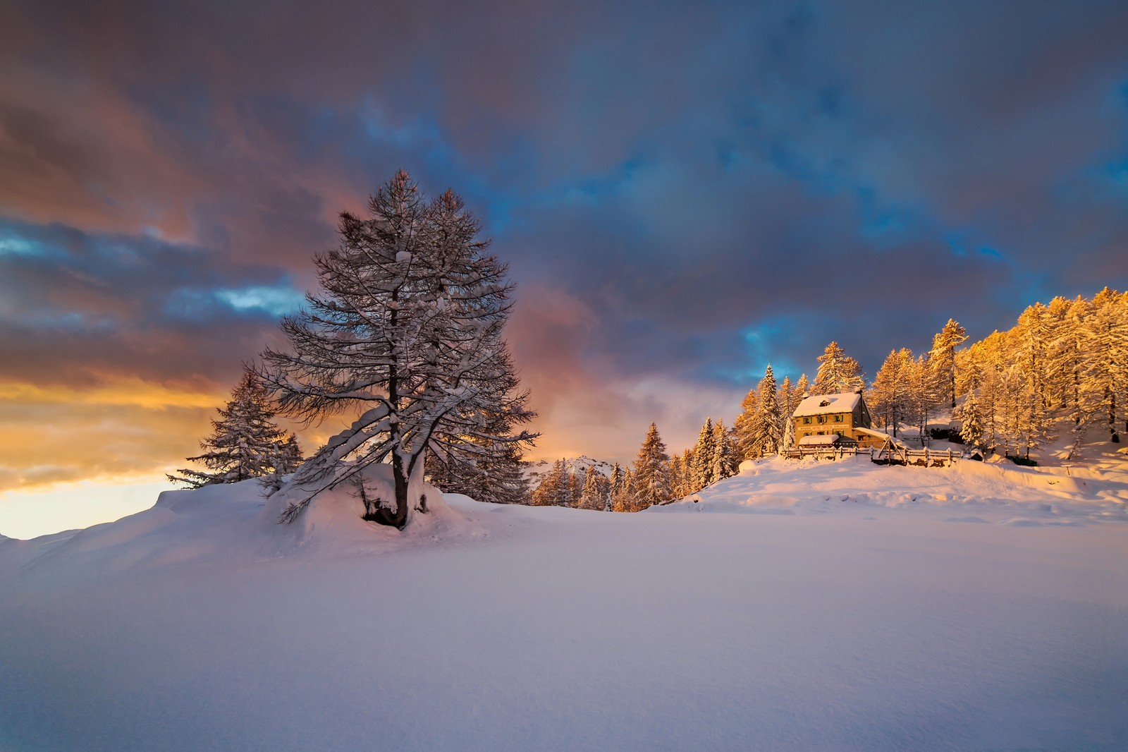 Descargar fondo de pantalla nieve, alpes, invierno, naturaleza, árbol