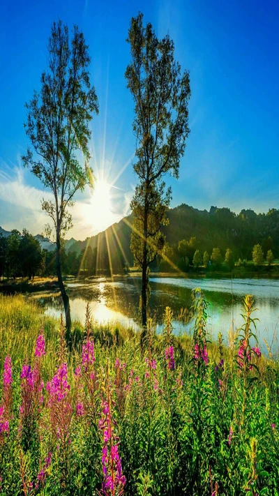 Sunlit Landscape with Trees and Vibrant Flowers by a Tranquil Lake