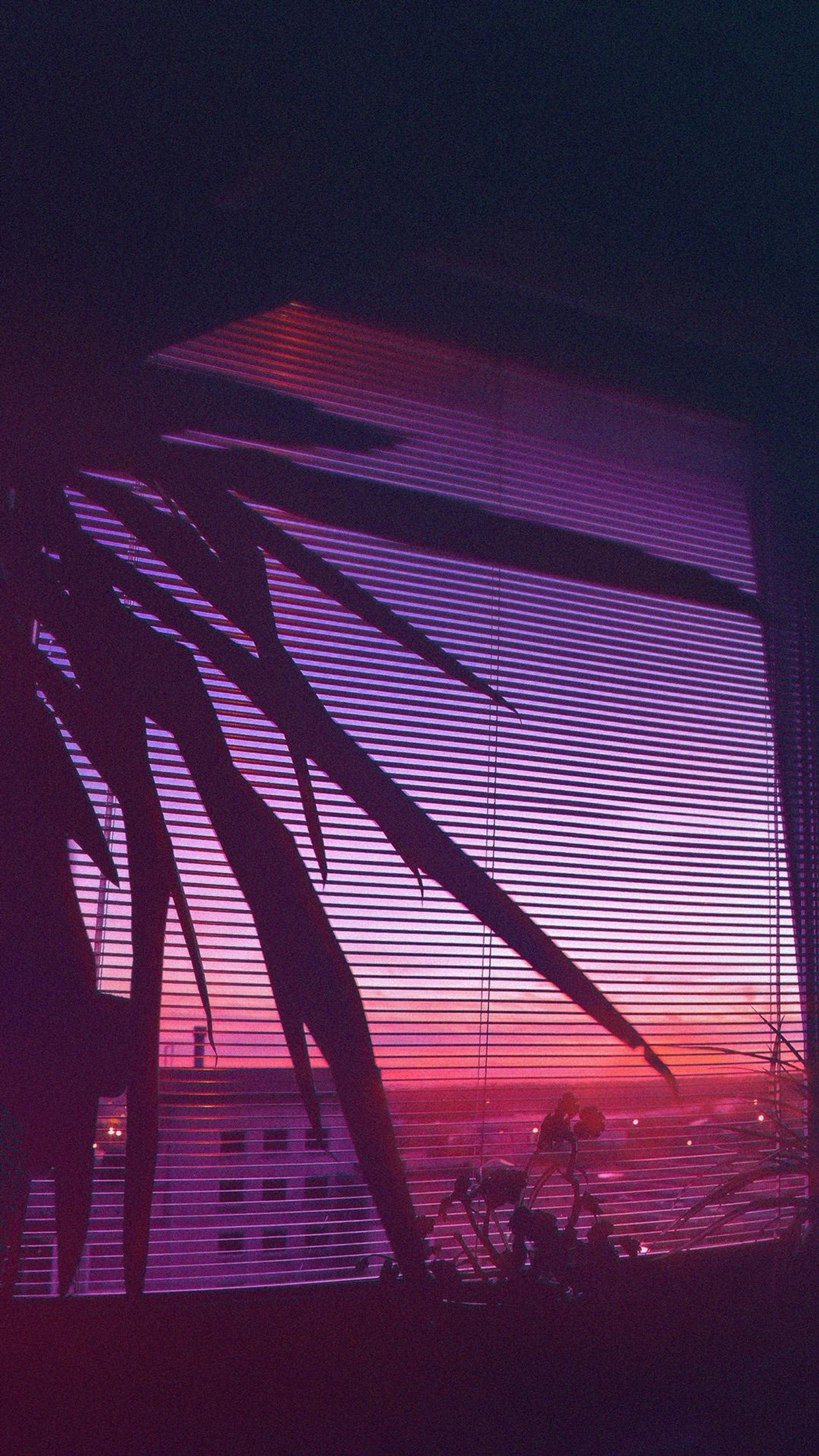 Puesta de sol morada y naranja vista a través de una ventana con una palmera (estética, oscuro, eléctrico, lofi, retro)