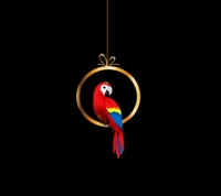 design, parrot, ring