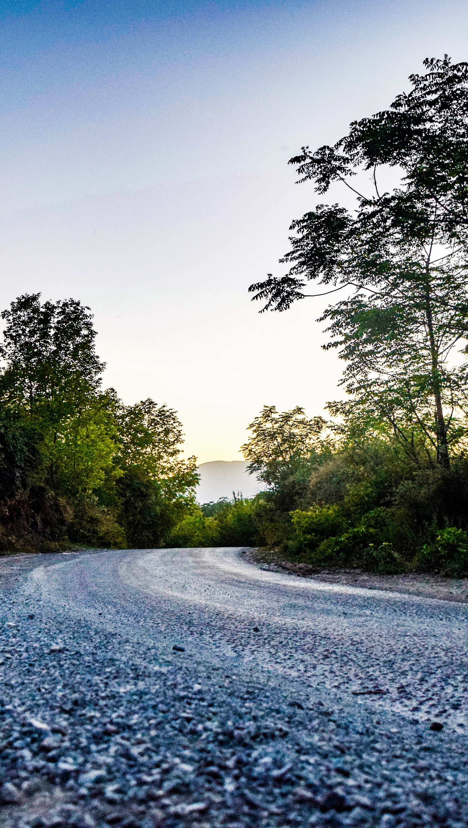 Há uma motocicleta solitária estacionada ao lado da estrada (paisagem, natureza, fotografia)