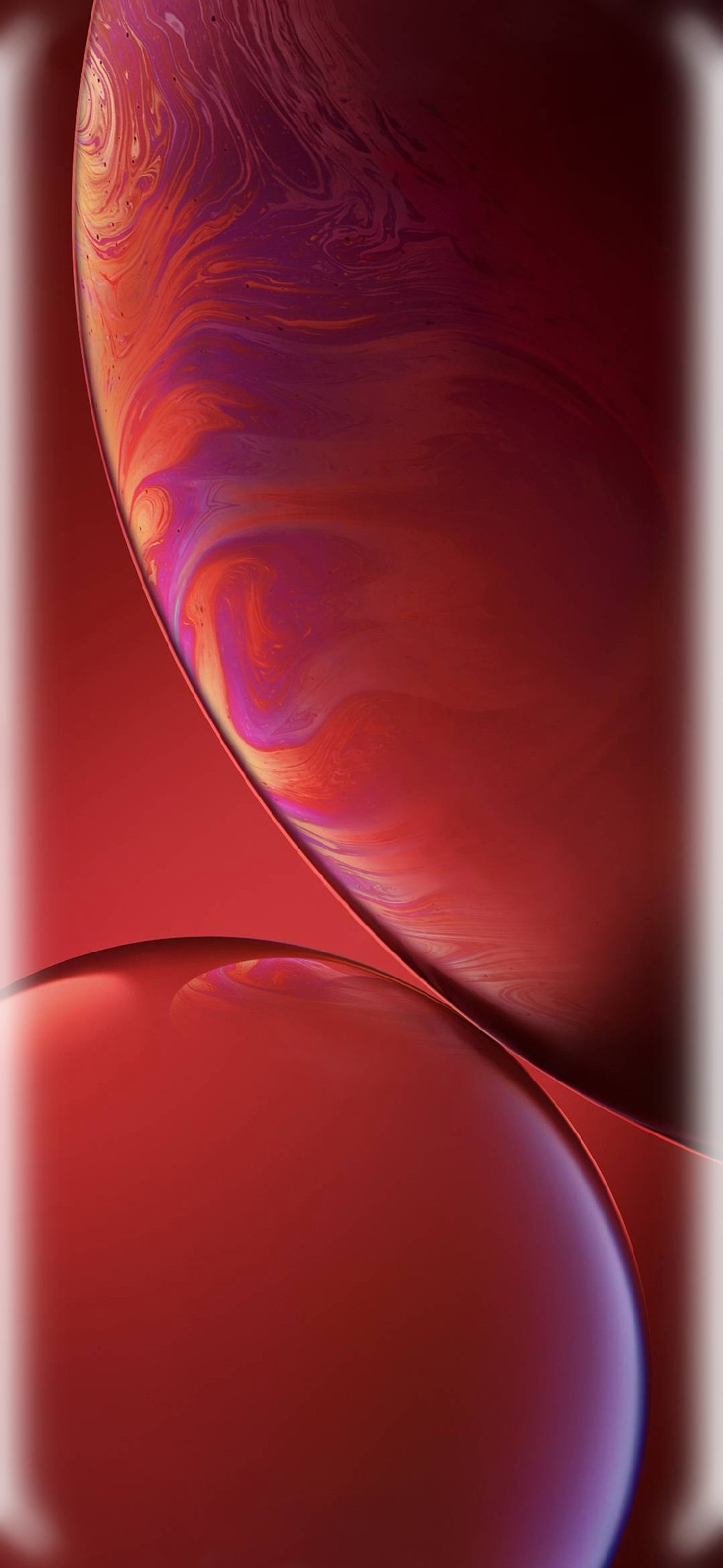 Nahaufnahme eines roten iphone xr mit rotem hintergrund (rot, blase, iphone, xr, xs)