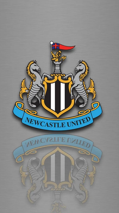 fußball, newcastle fc