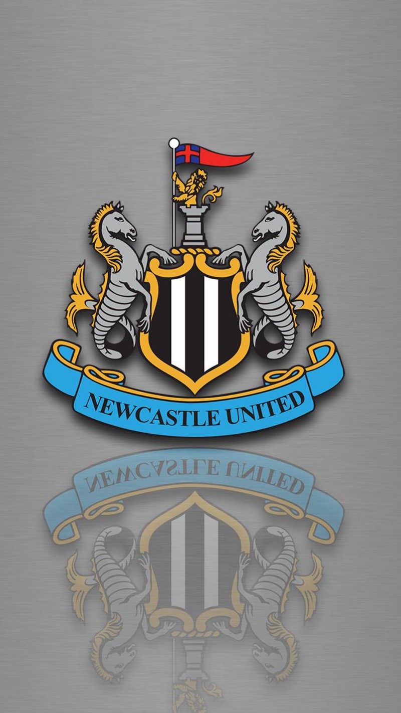 Крупный план металлической пластины с гербом и флагом (футбол, newcastle fc)