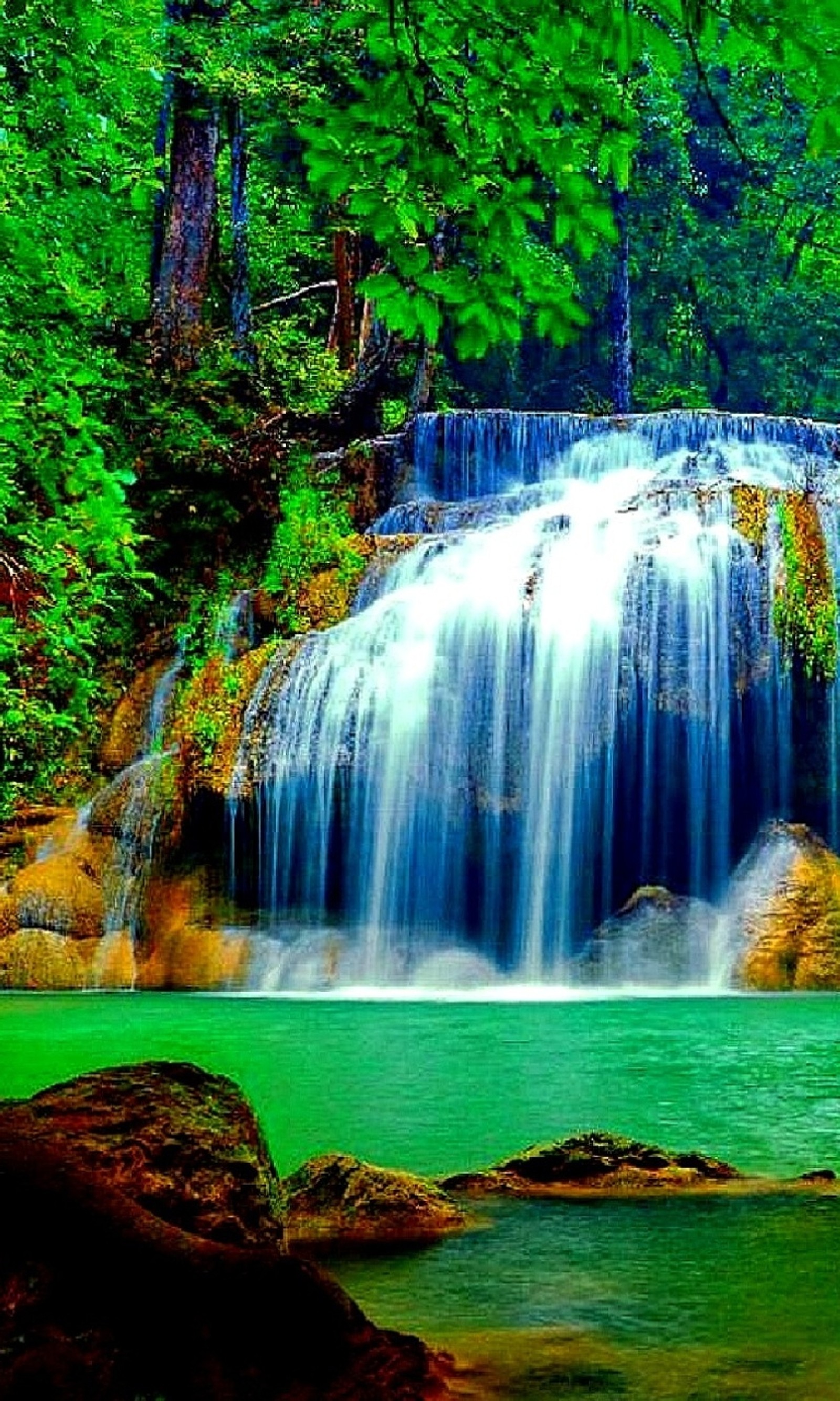 Una cascada en medio de un bosque con agua verde (bosque, natural, naturaleza, nuevo, agradable)