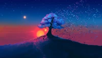 tree, sunset, scenery, night, stars wallpaper