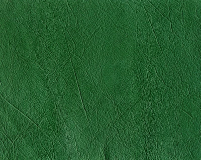 Textured Green Surface Mimicking Grass or Turf