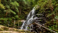 Cachoeiras serenas de Hopetoun caindo através da floresta tropical