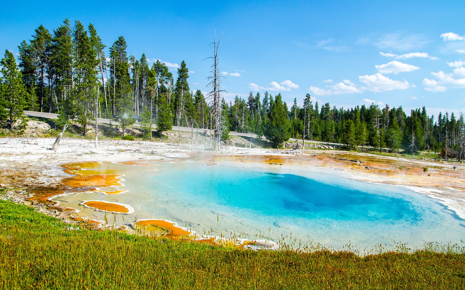 Скачать обои mudpot, национальный парк йеллоустоун, yellowstone national park, достопримечательность, зелёные деревья