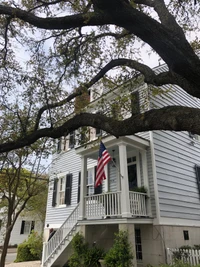 house, branch, flag, daytime, window